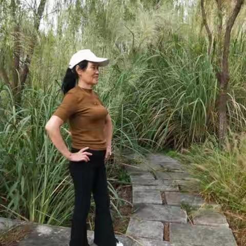 Sun的美篇