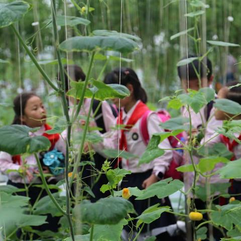 小小传承人 暑假见行动|益阳市赫山万源学校小学部2019年暑假社会实践活动总动员