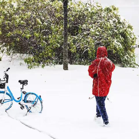 立冬的大雪