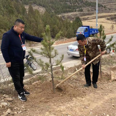 春风拂枝吐新绿  人大代表植树忙