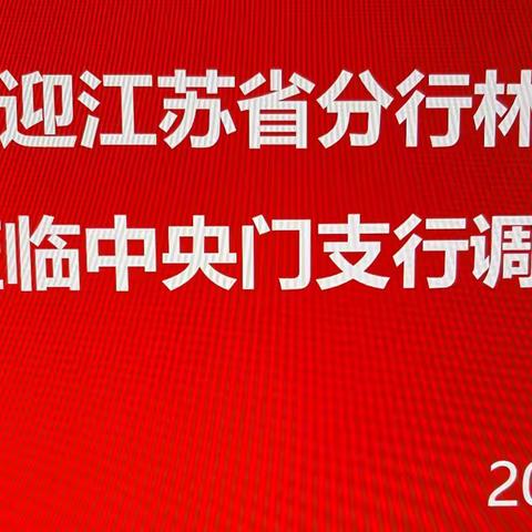 林波行长到中央门支行调研指导工作