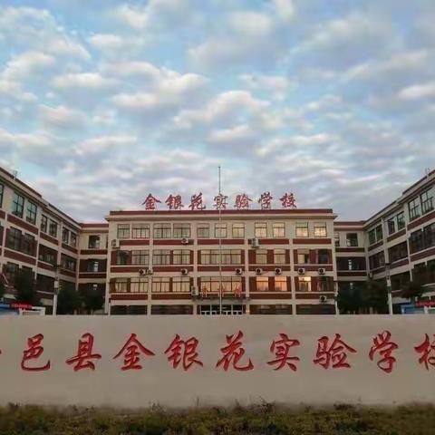 绽放青春风采，展现青年力量——金银花实验学校一年级语文青年教师汇报展示课