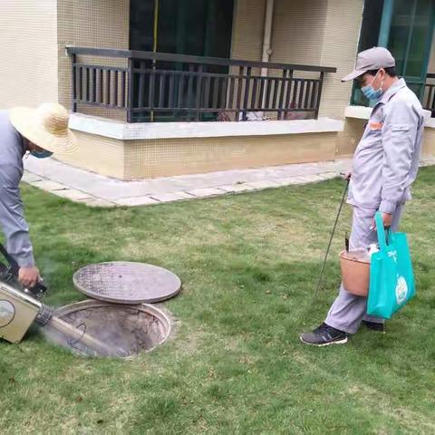 1.22桂林洋消杀记录