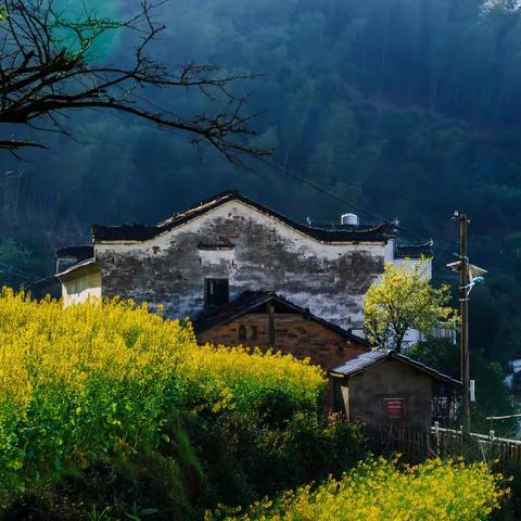 花香婺源，美在龙池汰