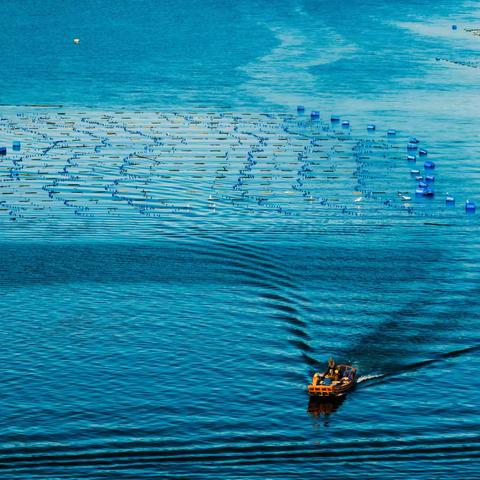 霞浦之光（一）