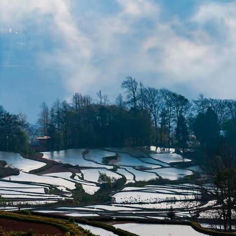 云南行——阡陌之上