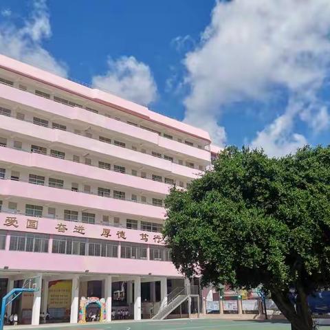 魅力绽放，收获成长