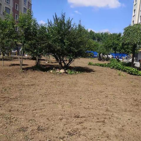 党建引领推进创城志愿服务——东凤街道城南社区开展“美化小区·助力创城”主题活动