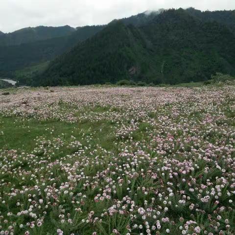 心中的向往，神奇的地方。