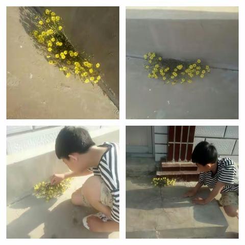 五一假期生活