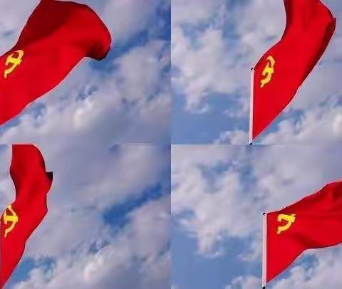 党建引领“防疫”路，党旗飘扬“志愿红”