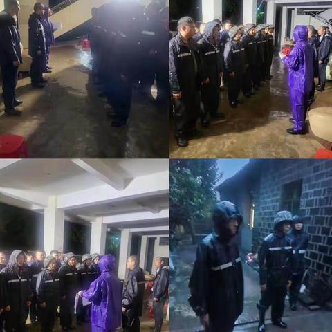 云龙镇开展2023年第4号台风“泰利”防御工作