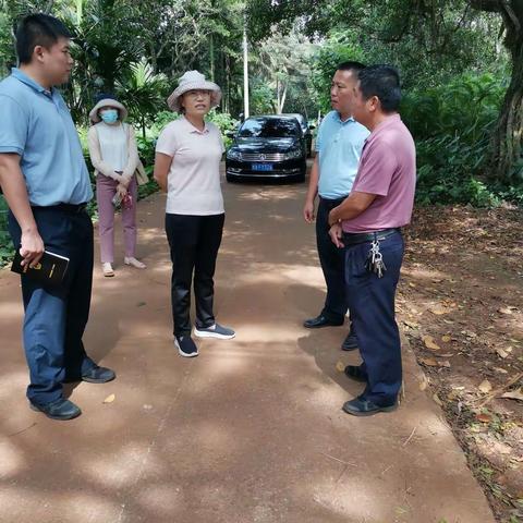 琼山区深入云龙镇调研花卉交易市场项目场地