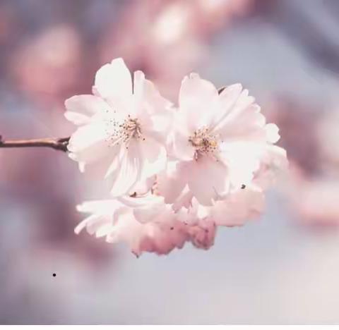 花溪中学数学组听课评课进行时……