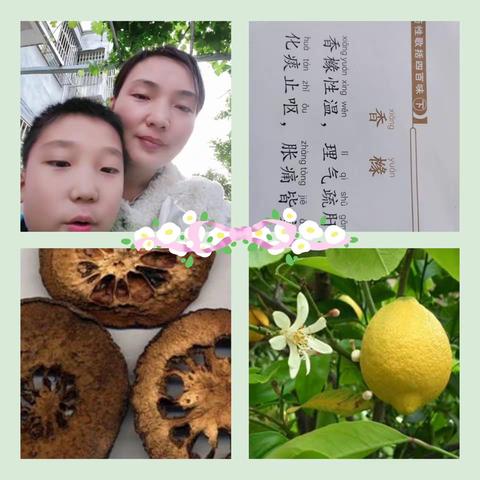 失败中成长——母子读经典感恩日志第952篇