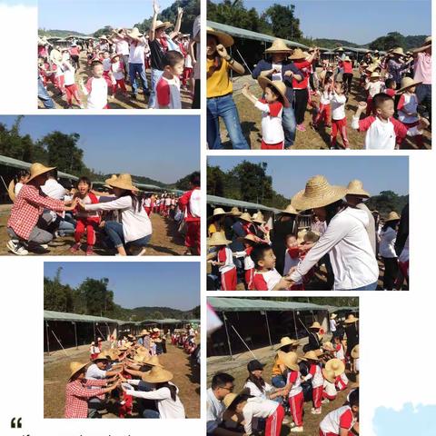 大三班“常春藤部落”旅行记