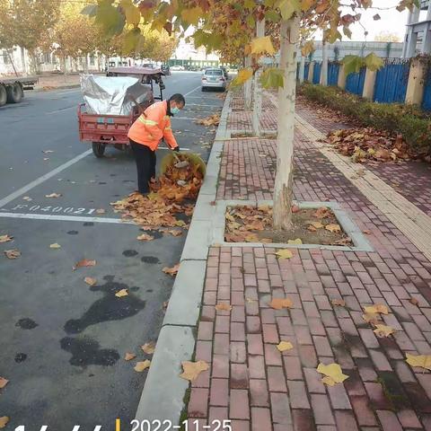 本周路面工作简报