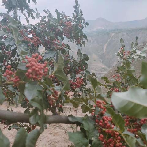 山河不语 其美自现