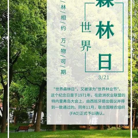 珍爱地球，人与自然和谐共生—寒亭区文昌小学逐梦中队世界森林日主题队会