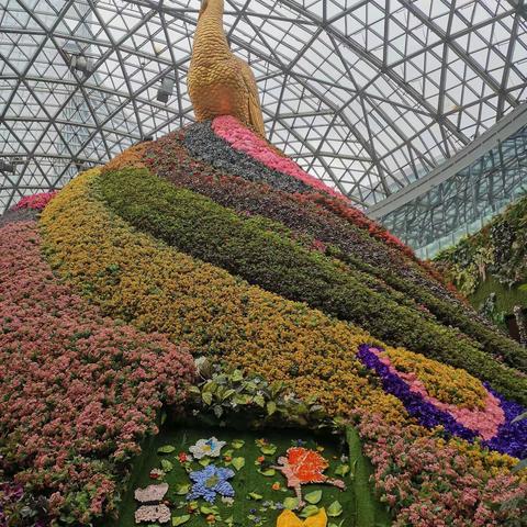花🌸之城和呈贡的春之南农庄