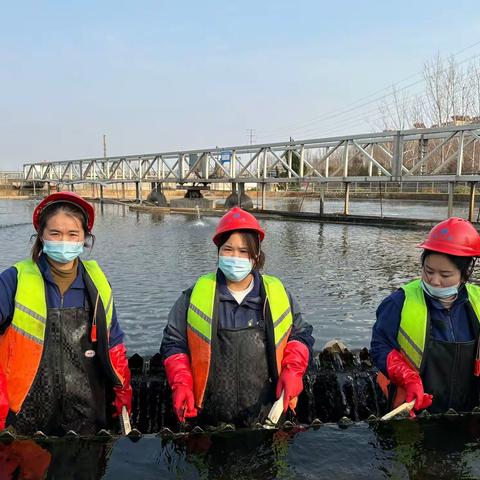 运营技术部开展2月份“清理二沉池池壁”常态化清理活动