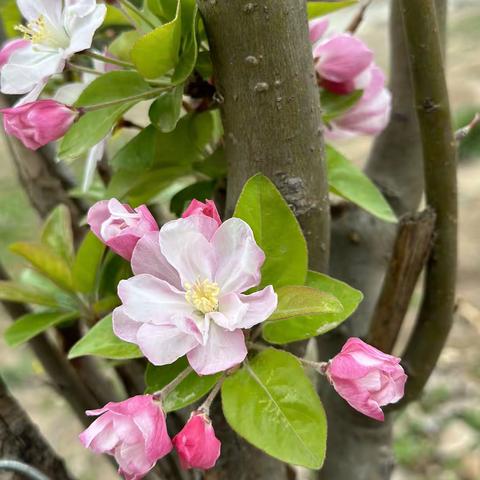 偶尔在创新，经常在优化