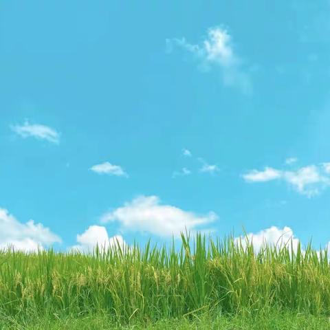 脚踏实地，久久为功