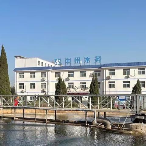 锐意进取，优化创新