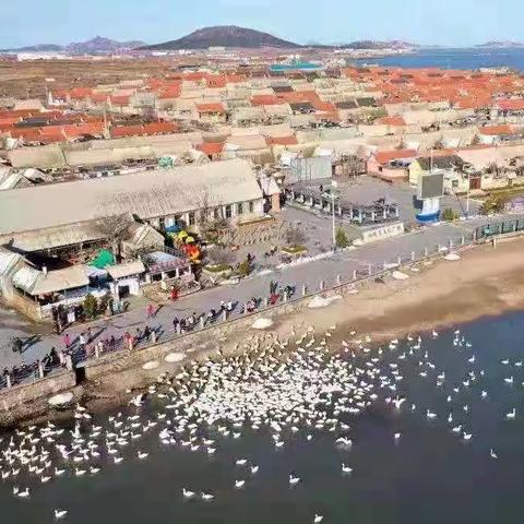 彩虹画室2021威海写生夏令营