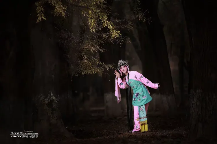 【狐女。婴宁】聊斋。戏曲版 出镜模特 紫郡