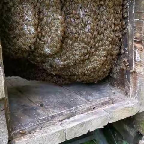 七下乘凉的美篇