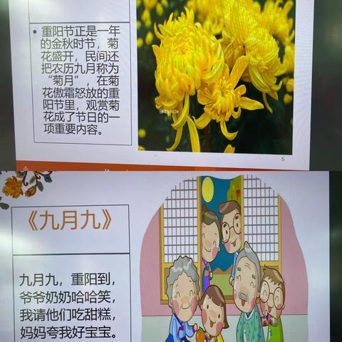 枣强二幼大营一分园 小班十月总结🌈