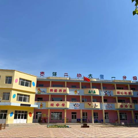 枣强二幼大营一分园 小班学期总结