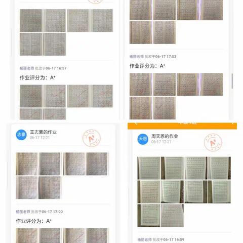 文华小学一（4）班学习情况