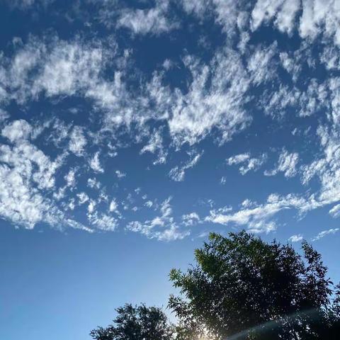 我的寒假生活－－日记－－刘集镇中心小学四年级二班   魏思佳