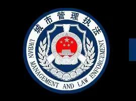 致敬！严寒中的“城管蓝”……