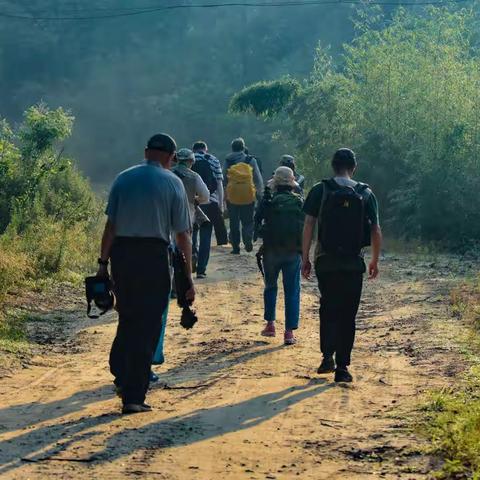 七里坪拍鸟纪实