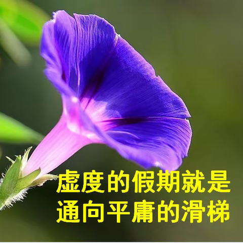 虚度的假期就是通向平庸的滑梯