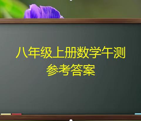 八年级上册数学  学案、午测卷参考答案（已更新到10.28）