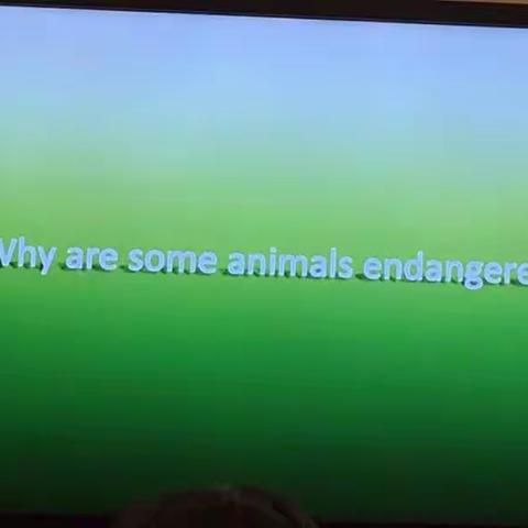 “Endangered Animals” by Ben