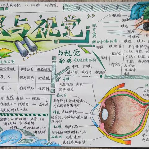 “笔尖上的自律，你的优秀有‘迹’可寻”银川二中灵武分校生物优秀作业展评活动