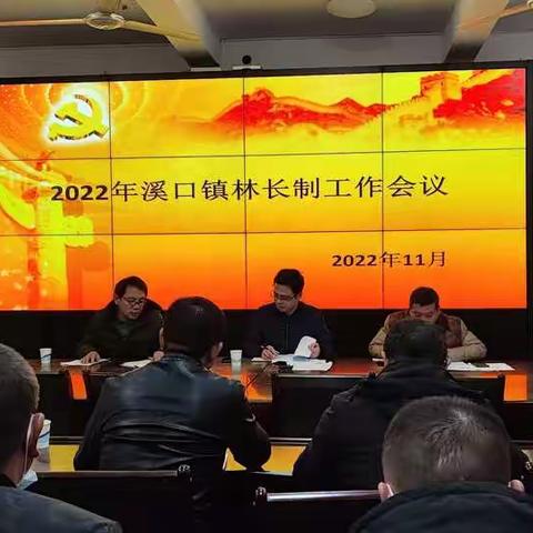 2022年溪口镇林长制工作会议