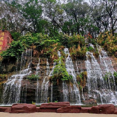 莲花山~莲花仙境~2021.03.09