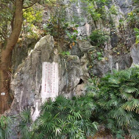 ②江门，台山，肇庆~2022.07.24~28