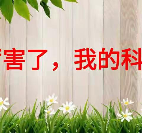 让实验点亮课堂的精彩  ——逸夫小学别样科学课