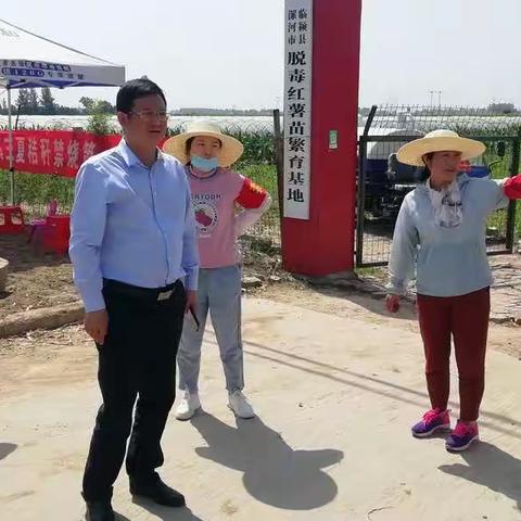 巨陵镇：加强秸秆综合整治  打响“三夏”安全保卫战