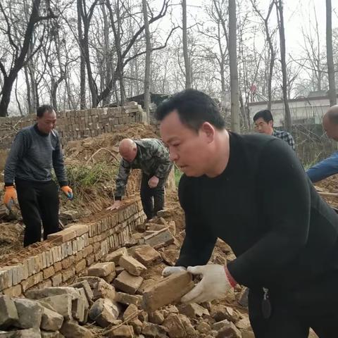 杜曲镇：人居环境整治工作开展情况（3.15）