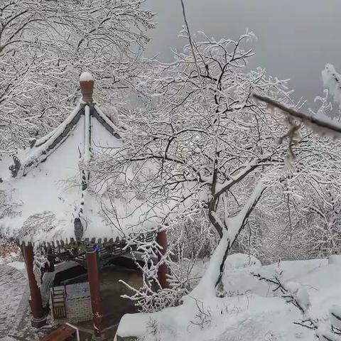 春风不讳雪，依洒翠华山。