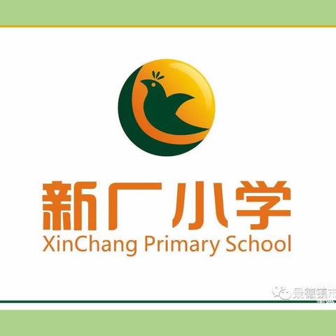 聆听专家讲座   学习课程标准——记新厂小学数学教研活动