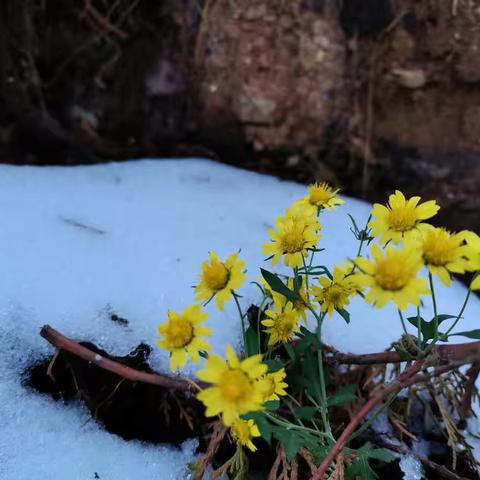2021年的第一场雪之云台溶洞